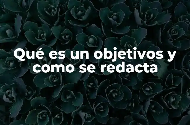 Qué es un Objetivos y como Se Redacta