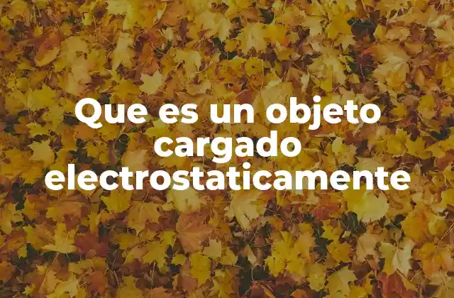 Que es un Objeto Cargado Electrostaticamente