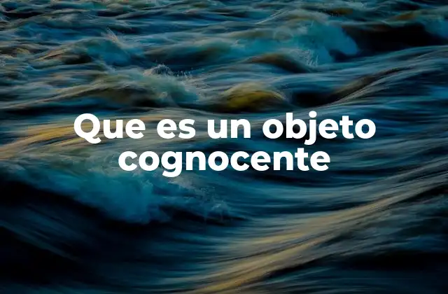 Que es un Objeto Cognocente