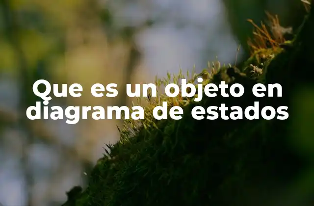 Que es un Objeto en Diagrama de Estados