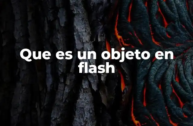Que es un Objeto en Flash