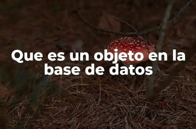 Que es un Objeto en la Base de Datos