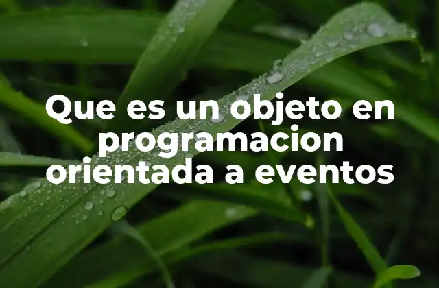 Que es un Objeto en Programacion Orientada a Eventos