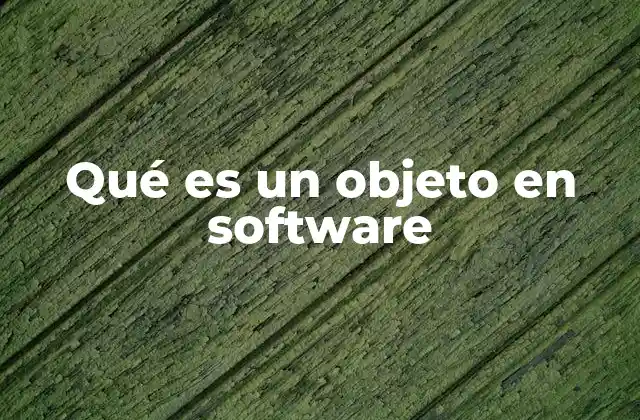 Qué es un Objeto en Software