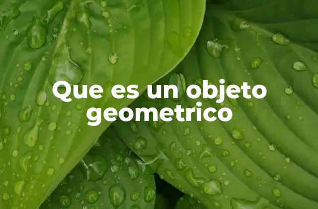 Que es un Objeto Geometrico