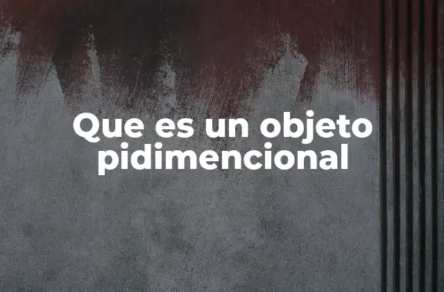 Que es un Objeto Pidimencional