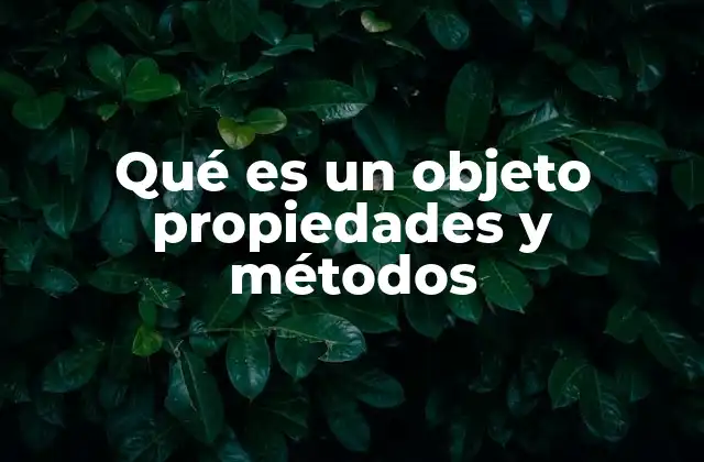 Qué es un Objeto Propiedades y Métodos