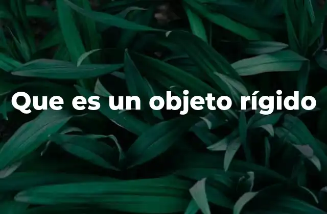 Que es un Objeto Rígido 2 El modelo idealizado en la física clásica