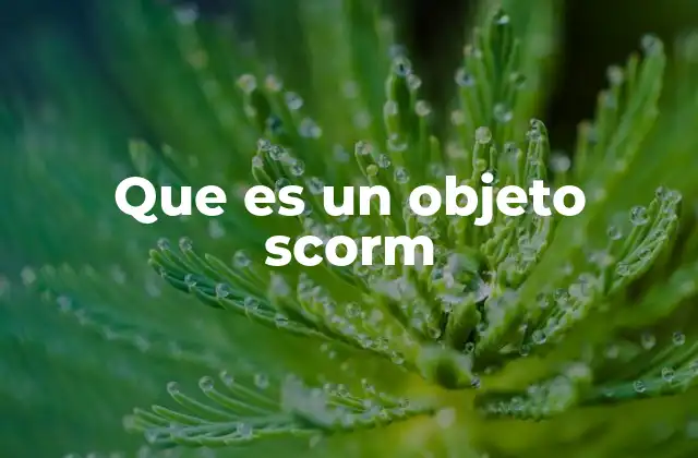 Que es un Objeto Scorm