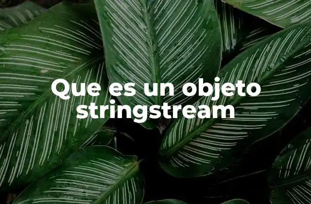 Que es un Objeto Stringstream