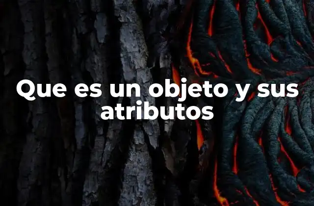 Que es un Objeto y Sus Atributos