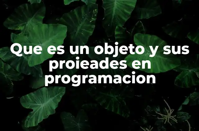 Que es un Objeto y Sus Proieades en Programacion