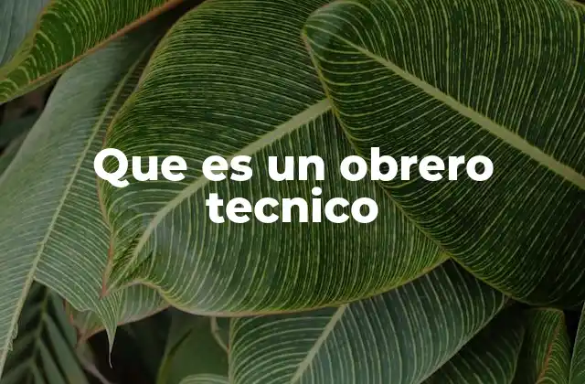 Que es un Obrero Tecnico