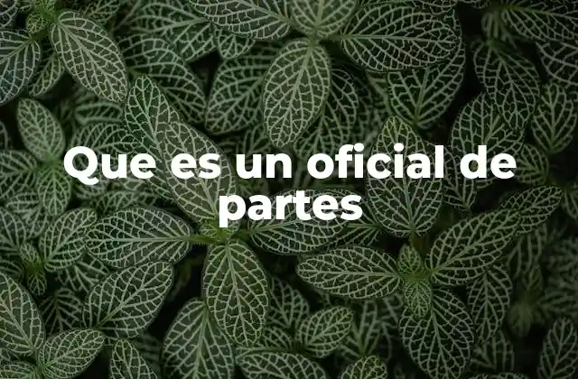 Que es un Oficial de Partes