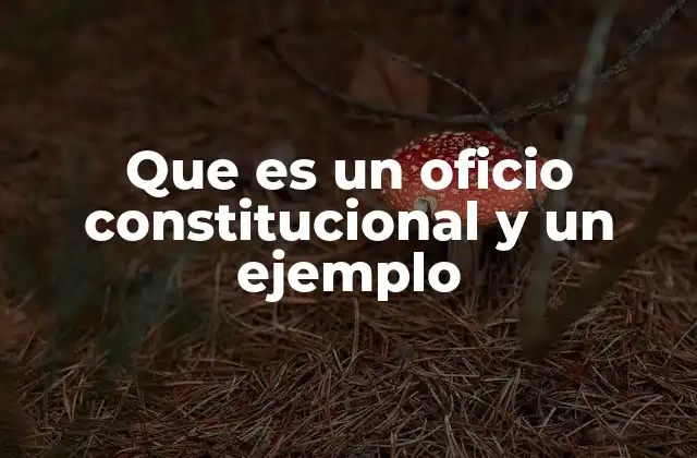 Que es un Oficio Constitucional y un Ejemplo