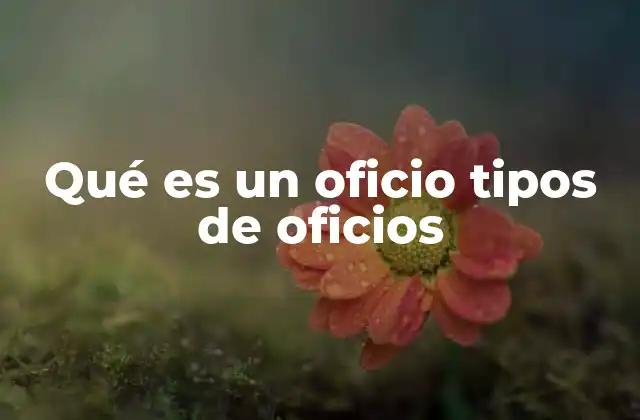 Qué es un Oficio Tipos de Oficios