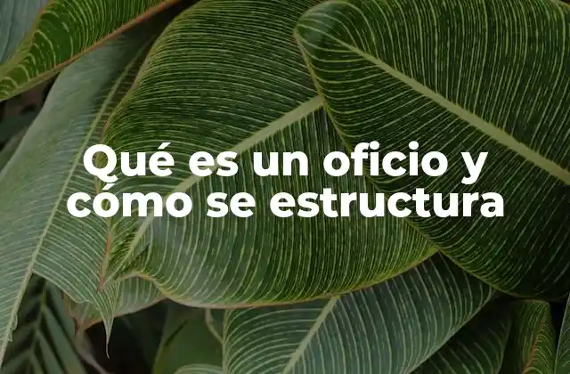 Qué es un Oficio y Cómo Se Estructura