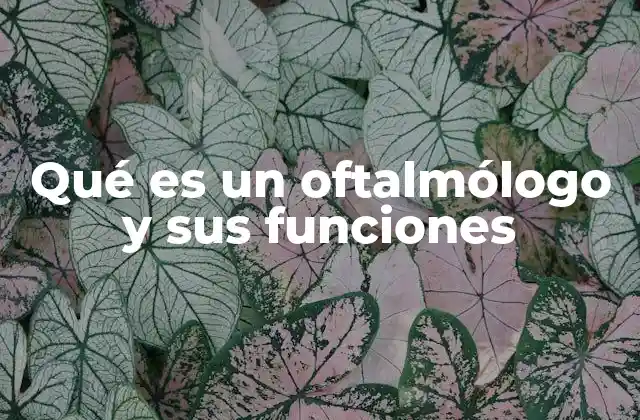 Qué es un Oftalmólogo y Sus Funciones