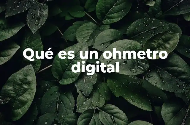 Qué es un Ohmetro Digital