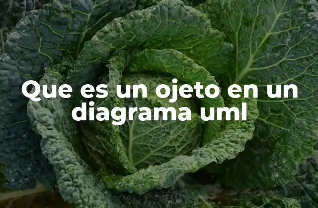 Que es un Ojeto en un Diagrama Uml