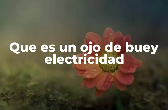 Que es un Ojo de Buey Electricidad