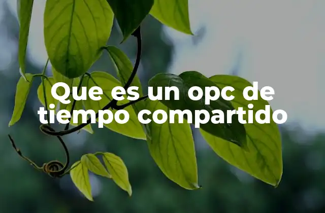 Cómo funciona el sistema de tiempo compartido