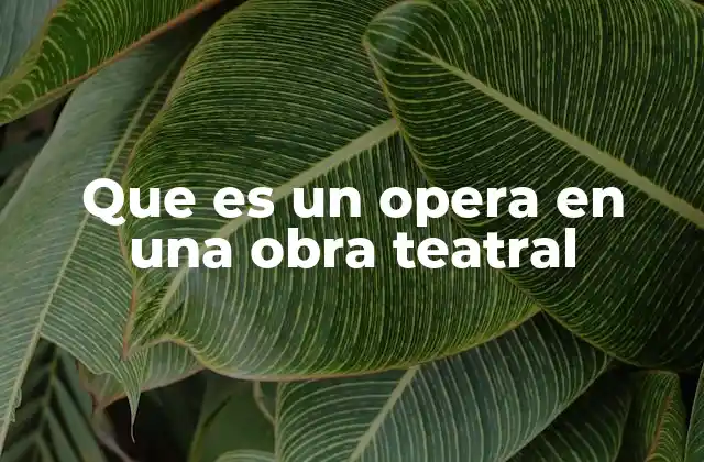 Que es un Opera en una Obra Teatral
