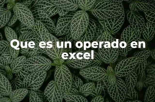 Que es un Operado en Excel