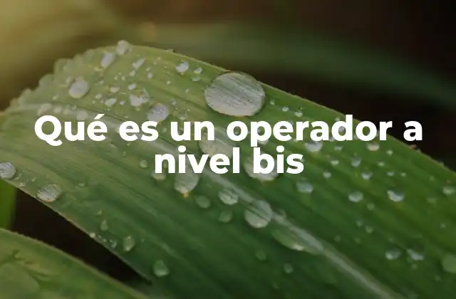 Qué es un Operador a Nivel Bis