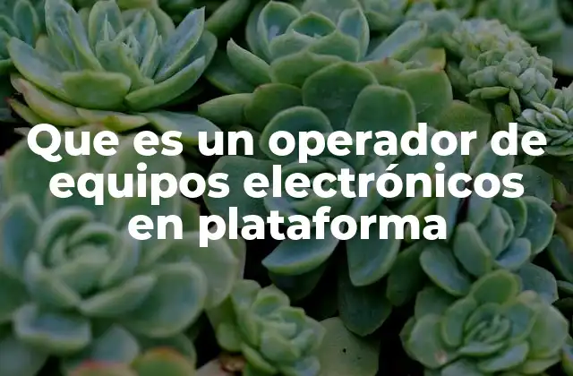 Que es un Operador de Equipos Electrónicos en Plataforma