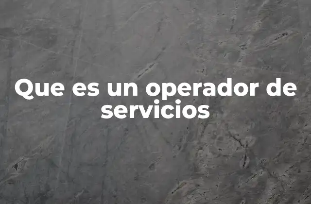 Que es un Operador de Servicios