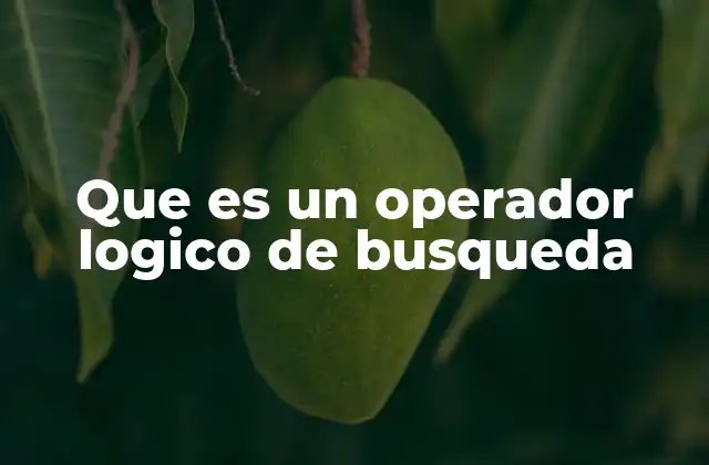 Que es un Operador Logico de Busqueda