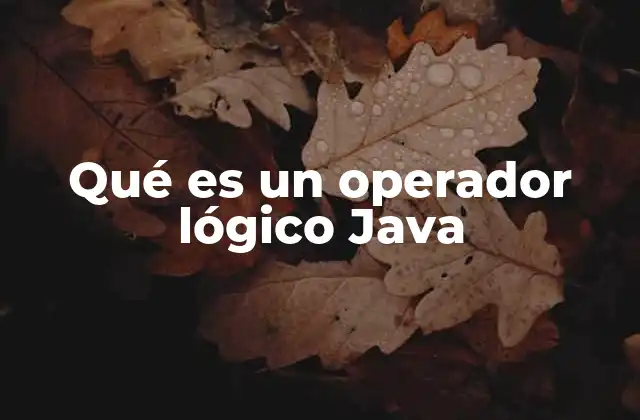 Qué es un Operador Lógico Java