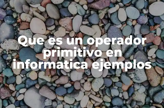 Que es un Operador Primitivo en Informatica Ejemplos 2 Tipos de operadores primitivos y su función en la programación