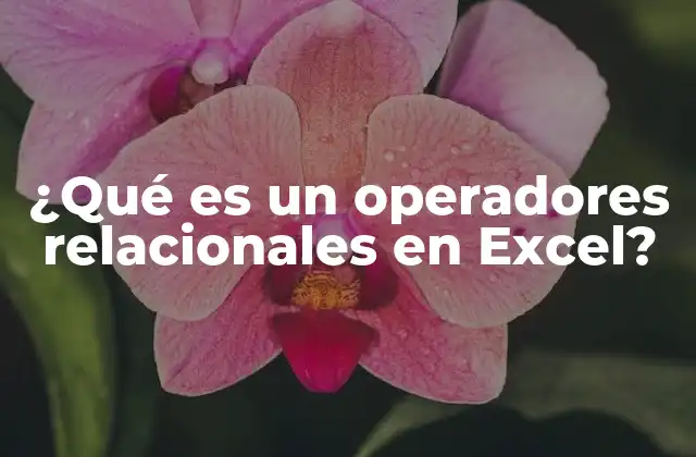 ¿qué es un Operadores Relacionales en Excel?