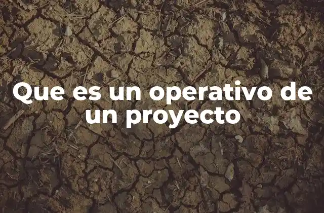 Que es un Operativo de un Proyecto