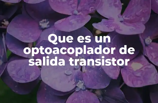 Que es un Optoacoplador de Salida Transistor