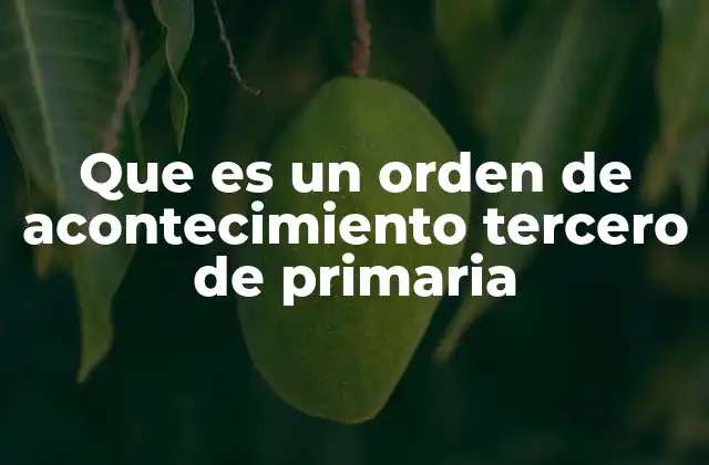 La importancia del orden temporal en el desarrollo infantil