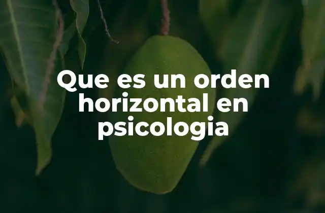 La importancia de la organización visual en pruebas psicológicas