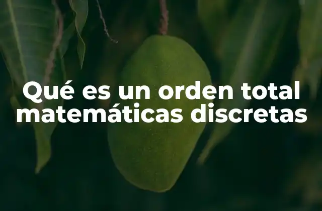 Qué es un Orden Total Matemáticas Discretas