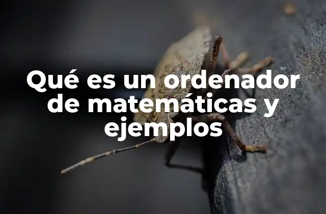 Qué es un Ordenador de Matemáticas y Ejemplos