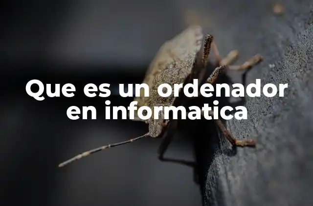 Que es un Ordenador en Informatica