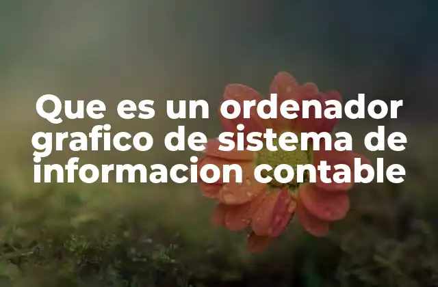 Que es un Ordenador Grafico de Sistema de Informacion Contable