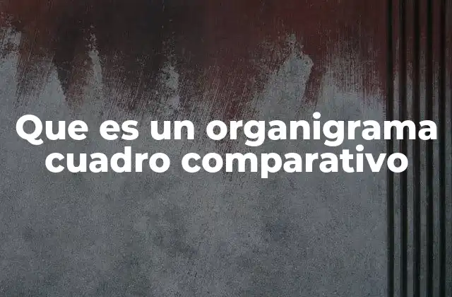 Que es un Organigrama Cuadro Comparativo