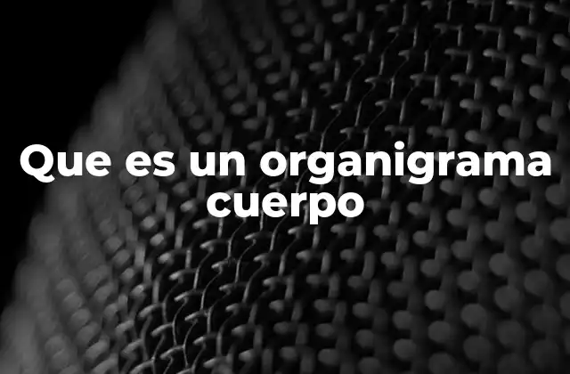 La importancia de comprender la estructura directiva de una organización