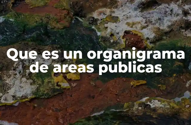 Que es un Organigrama de Areas Publicas