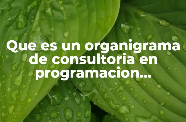 Que es un Organigrama de Consultoria en Programacion Cecuytem