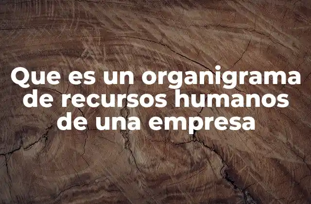 Que es un Organigrama de Recursos Humanos de una Empresa