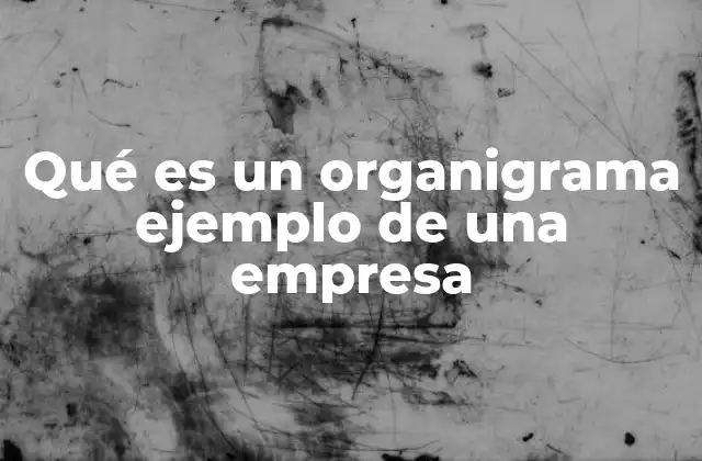 Qué es un Organigrama Ejemplo de una Empresa