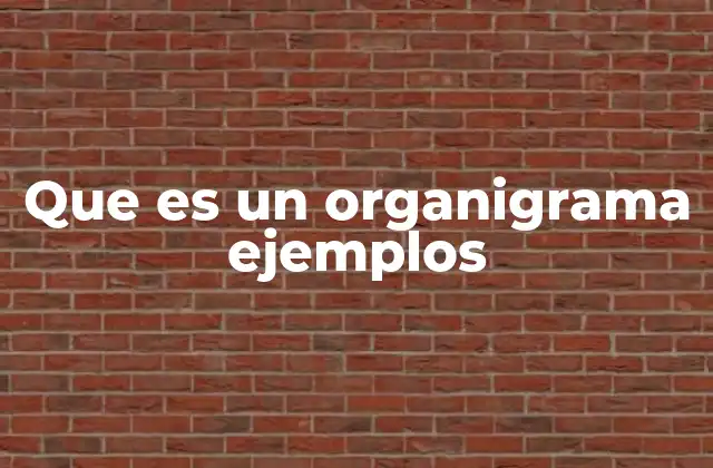 La importancia de visualizar la estructura organizacional